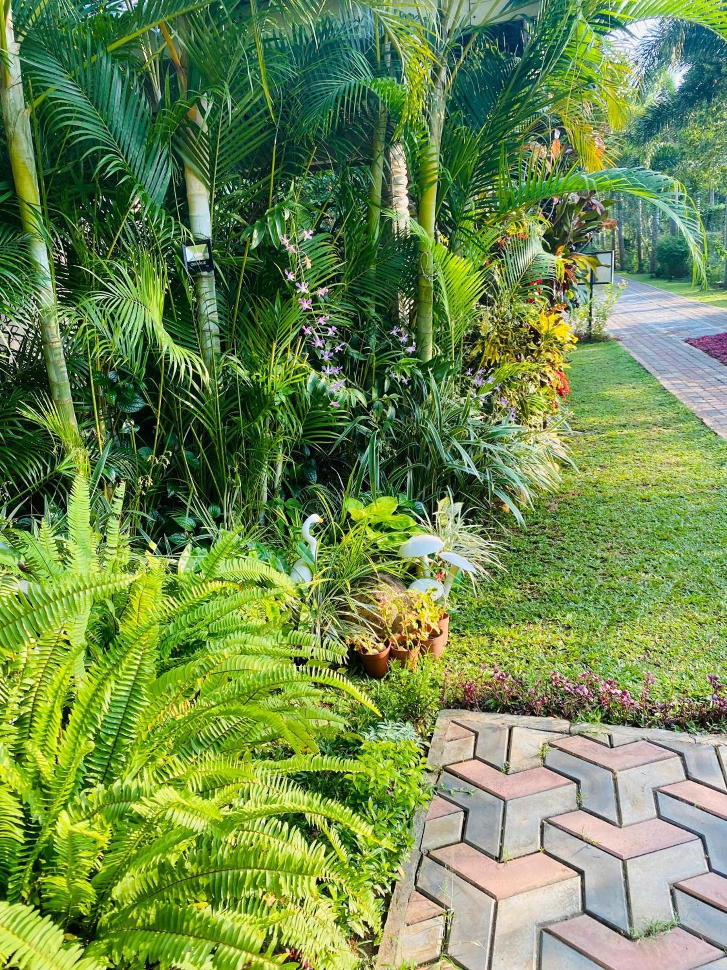 Hotel Waasala Leisure Anuradhapura Exterior foto